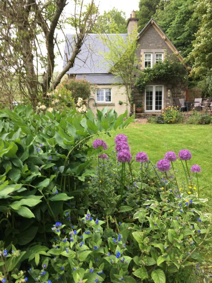Willowherb And Foxglove Cottages Hawick Exteriör bild